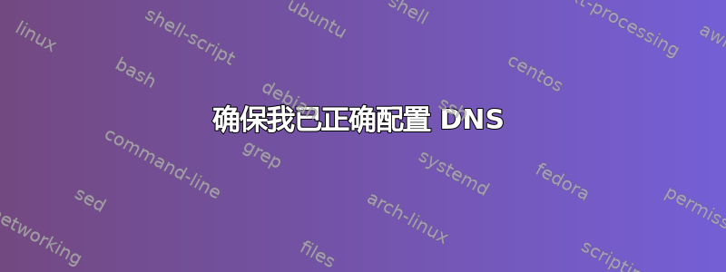 确保我已正确配置 DNS