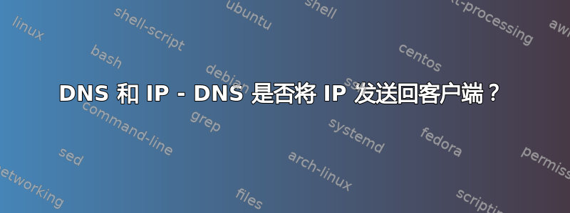 DNS 和 IP - DNS 是否将 IP 发送回客户端？