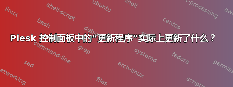 Plesk 控制面板中的“更新程序”实际上更新了什么？ 