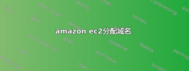 amazon ec2分配域名