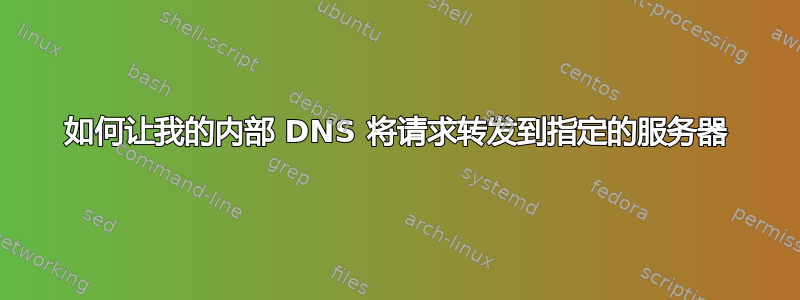 如何让我的内部 DNS 将请求转发到指定的服务器