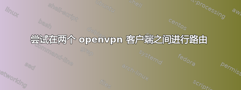 尝试在两个 openvpn 客户端之间进行路由