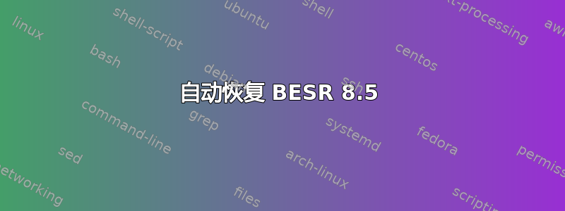 自动恢复 BESR 8.5