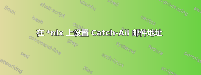 在 *nix 上设置 Catch-All 邮件地址