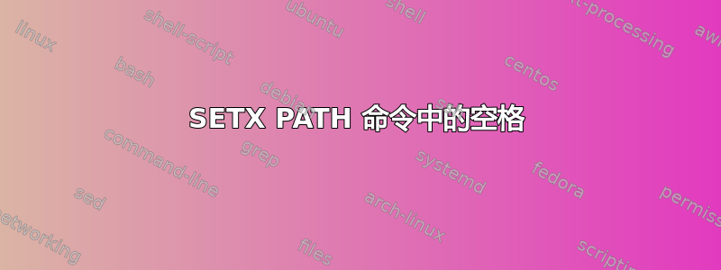 SETX PATH 命令中的空格