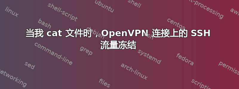 当我 cat 文件时，OpenVPN 连接上的 SSH 流量冻结