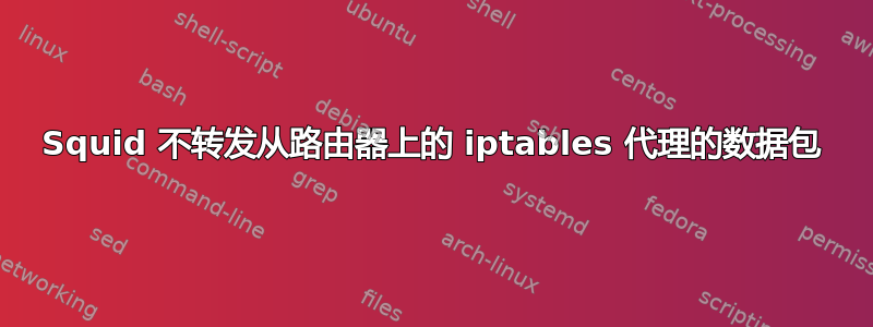 Squid 不转发从路由器上的 iptables 代理的数据包