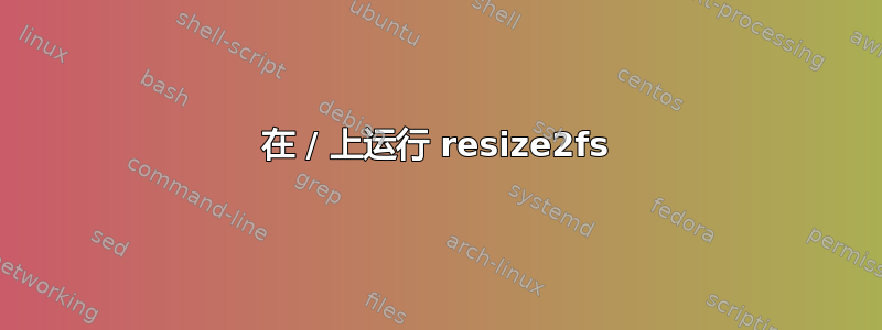 在 / 上运行 resize2fs