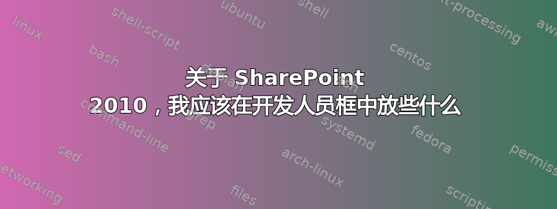 关于 SharePoint 2010，我应该在开发人员框中放些什么