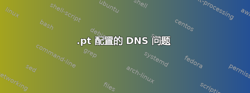 .pt 配置的 DNS 问题