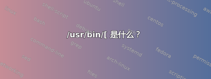 /usr/bin/[ 是什么？