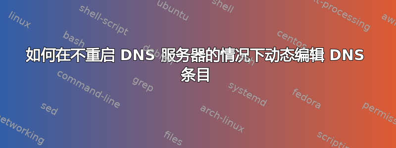 如何在不重启 DNS 服务器的情况下动态编辑 DNS 条目