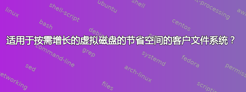 适用于按需增长的虚拟磁盘的节省空间的客户文件系统？