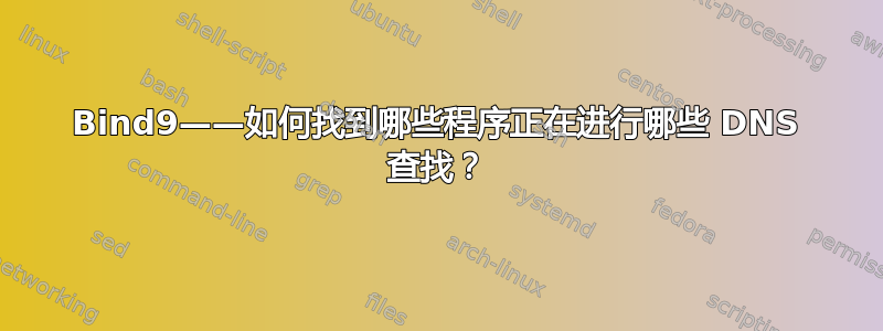 Bind9——如何找到哪些程序正在进行哪些 DNS 查找？