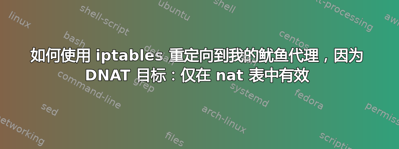 如何使用 iptables 重定向到我的鱿鱼代理，因为 DNAT 目标：仅在 nat 表中有效