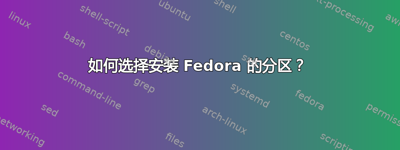 如何选择安装 Fedora 的分区？