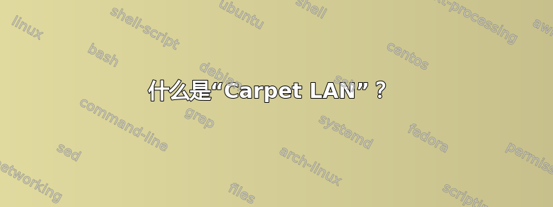 什么是“Carpet LAN”？ 