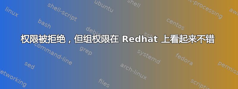 权限被拒绝，但组权限在 Redhat 上看起来不错