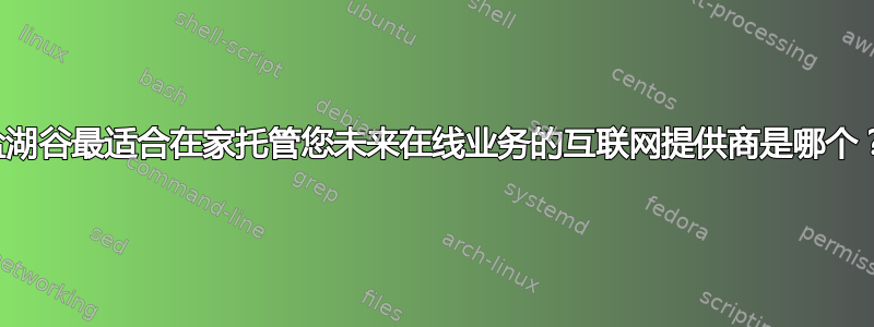 盐湖谷最适合在家托管您未来在线业务的互联网提供商是哪个？