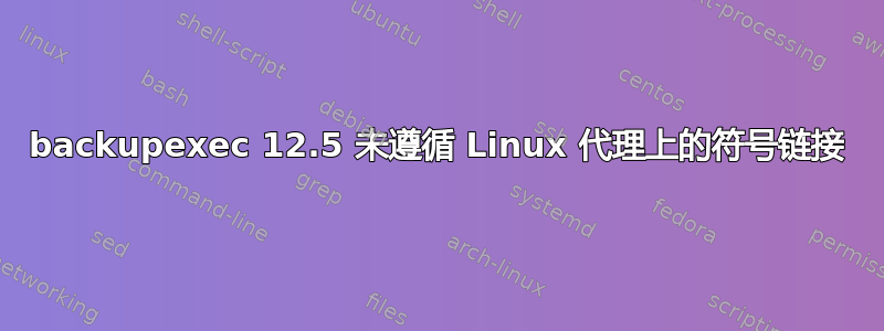 backupexec 12.5 未遵循 Linux 代理上的符号链接