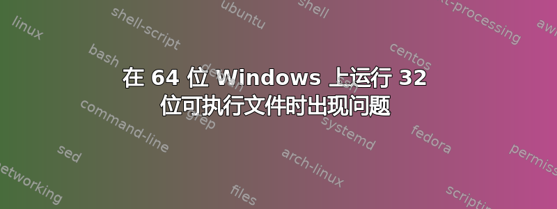 在 64 位 Windows 上运行 32 位可执行文件时出现问题