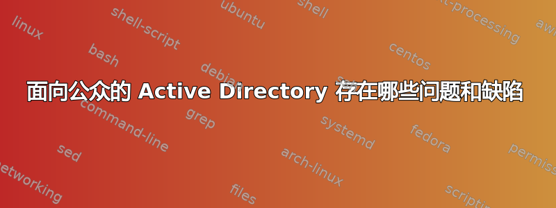 面向公众的 Active Directory 存在哪些问题和缺陷