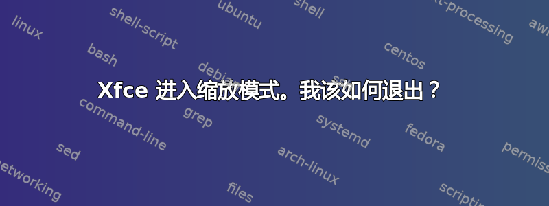 Xfce 进入缩放模式。我该如何退出？