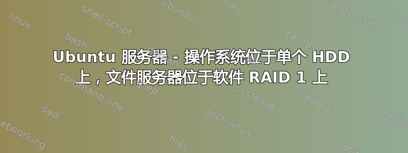 Ubuntu 服务器 - 操作系统位于单个 HDD 上，文件服务器位于软件 RAID 1 上