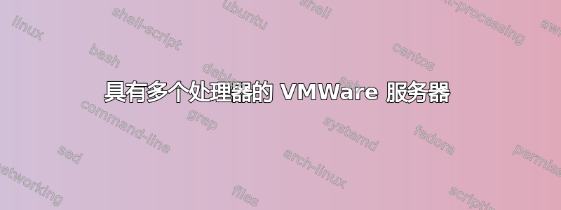 具有多个处理器的 VMWare 服务器