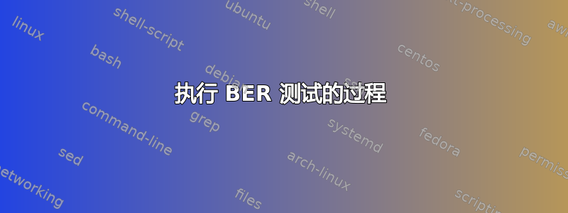 执行 BER 测试的过程