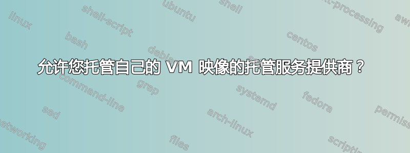 允许您托管自己的 VM 映像的托管服务提供商？