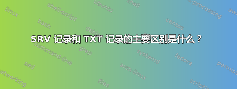 SRV 记录和 TXT 记录的主要区别是什么？