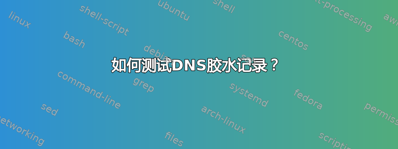 如何测试DNS胶水记录？