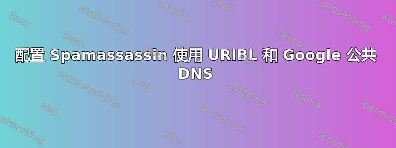 配置 Spamassassin 使用 URIBL 和 Google 公共 DNS