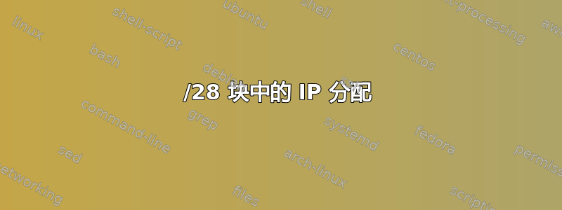 /28 块中的 IP 分配