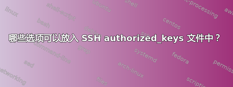 哪些选项可以放入 SSH authorized_keys 文件中？