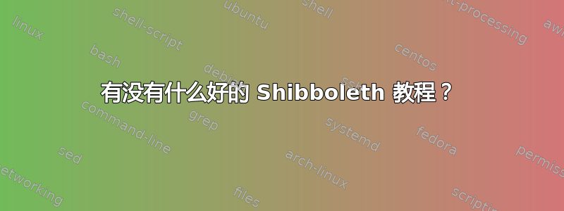 有没有什么好的 Shibboleth 教程？