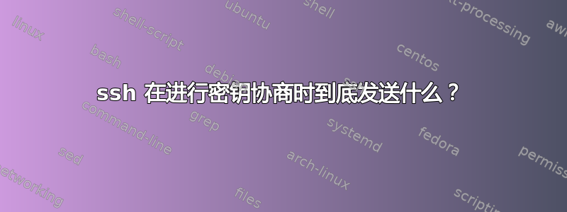 ssh 在进行密钥协商时到底发送什么？