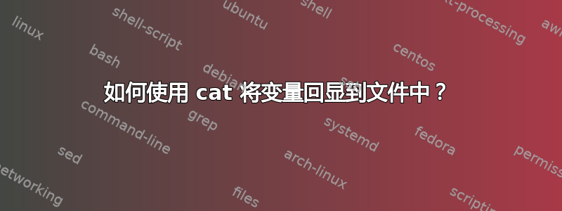 如何使用 cat 将变量回显到文件中？