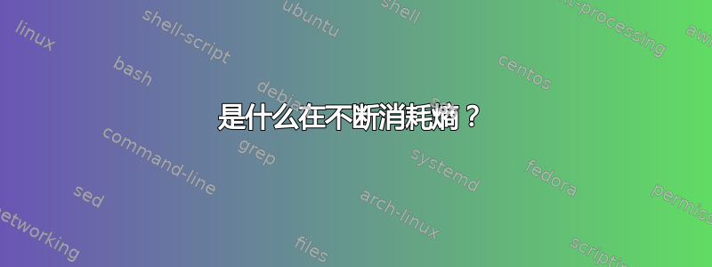 是什么在不断消耗熵？