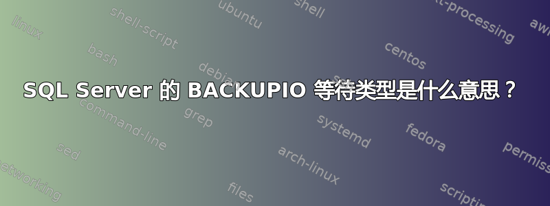 SQL Server 的 BACKUPIO 等待类型是什么意思？