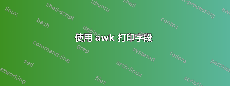 使用 awk 打印字段