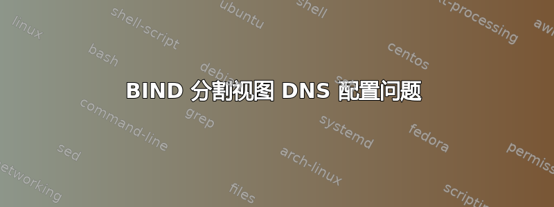 BIND 分割视图 DNS 配置问题