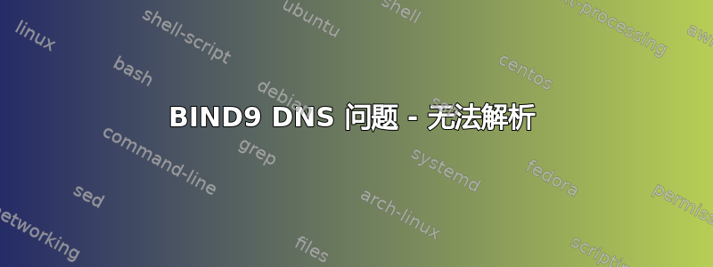 BIND9 DNS 问题 - 无法解析