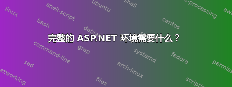 完整的 ASP.NET 环境需要什么？