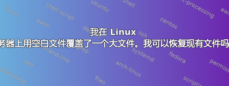 我在 Linux 服务器上用空白文件覆盖了一个大文件。我可以恢复现有文件吗？