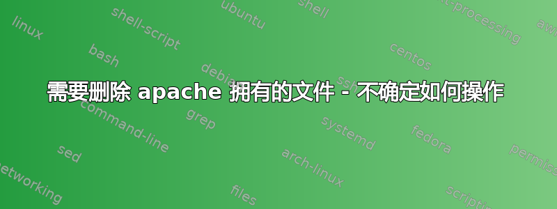 需要删除 apache 拥有的文件 - 不确定如何操作