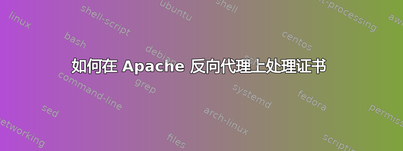 如何在 Apache 反向代理上处理证书