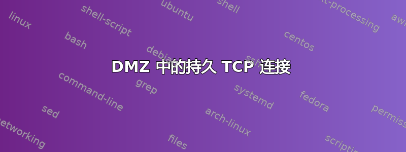 DMZ 中的持久 TCP 连接