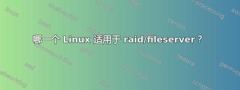 哪一个 Linux 适用于 raid/fileserver？